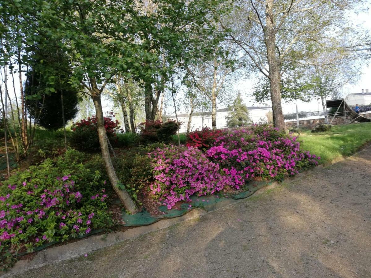 Apartamento SIGÜEIRO CAMINO INGLÉS  Exterior foto
